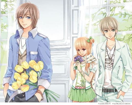 深入了解 今日看料